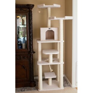 70 inch 2024 cat tree